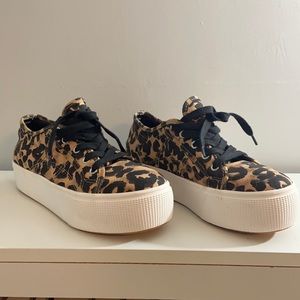 Brand new Steve Madden platform shoes